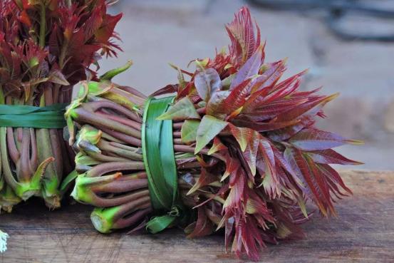 浦口这些野菜里，藏着春天的味道！