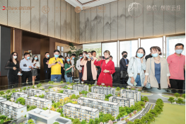 ​德信匠艺启幕知己生活 | 德信·烟岚云庄示范区璀璨公开