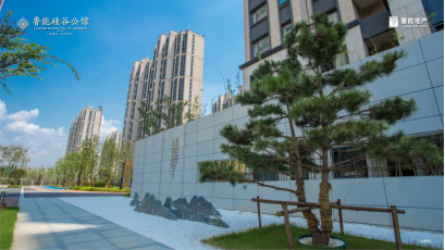 千人挤爆售楼处！南京最“潮”示范区首亮相，成全城焦点