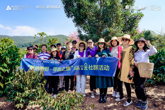 多维度创新，彰显营销管理能力，雅居乐前2月预售大增232%