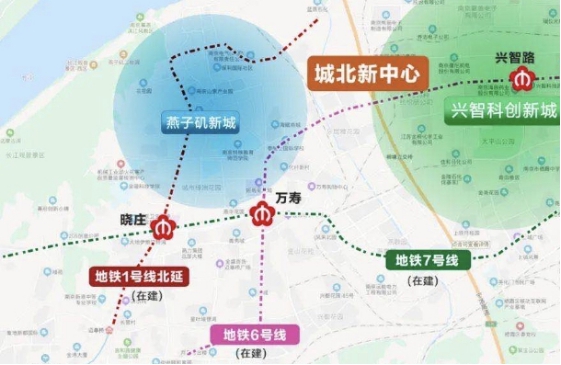 卖爆了！南京这波“小阳春”背后的真正强者竟是...