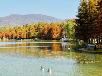 “金”彩双节！建行助力南京文旅圈住“泼天流量”